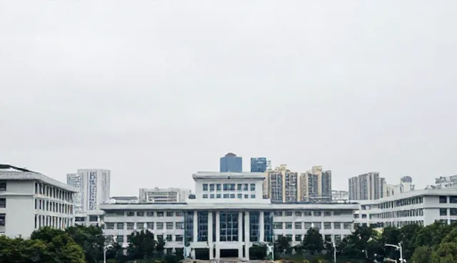 业务发展中的技术推广策略与适用限制